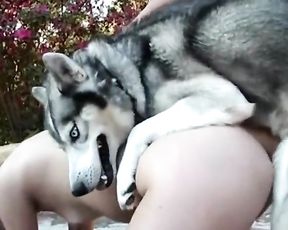 Кобель хаски трахает сексуальную девушку в пизду. Dog porn