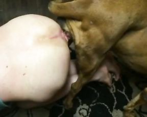 Кадры анального секса пассивного парня с собакой