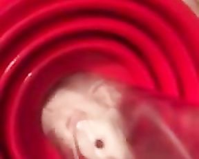 Девушка засунула живую крысу в пизду. Жесть xxx видео