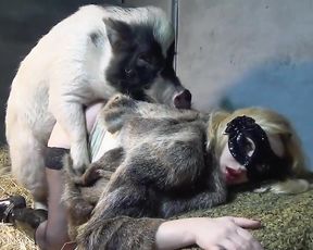 Кабан в свинарнике трахает грузинскую шлюху длинным хуем, порно с животным