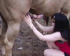 Порно с конём девушки Виксен на природе. Vixen horse sex