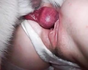 Вязка девушки с собакой крупный план. Зоо секс видео