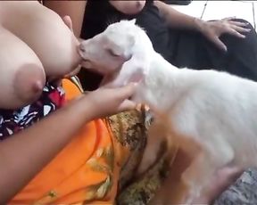 Маленький козлик сосет сиськи у индианки
